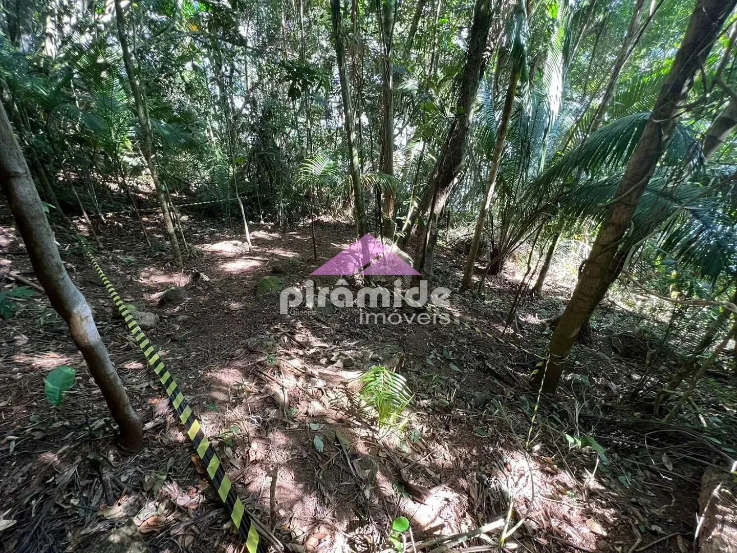 Terreno, 4000 m² - Foto 6