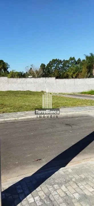 Terreno, 260 m² - Foto 3