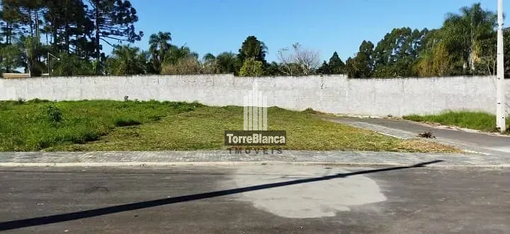 Terreno, 260 m² - Foto 5
