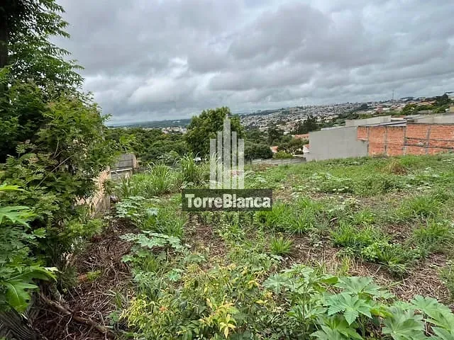 Terreno com 1344m², à venda, no bairro Nova Rússia em Ponta Grossa