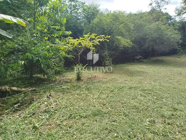 Terreno com 2400m², à venda, no bairro Arroio Grande em Arroio do Meio