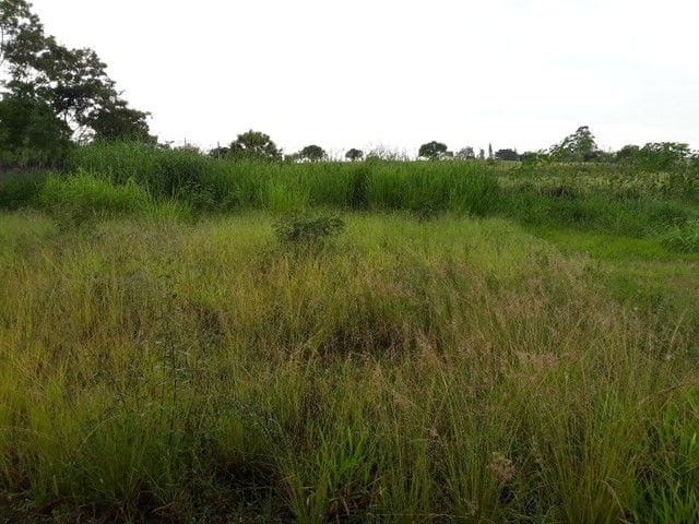 Foto do Terreno - Terreno à venda, 300 m² por R$ 320.000,00 - Eugênio de Melo - São José dos Campos/SP | INDEPENDENCE NEGOCIOS IMOBILIARIOS LTDA