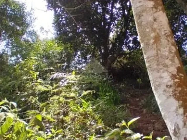 Terreno com 272m², à venda, no bairro Roncon em Ribeirão Pires