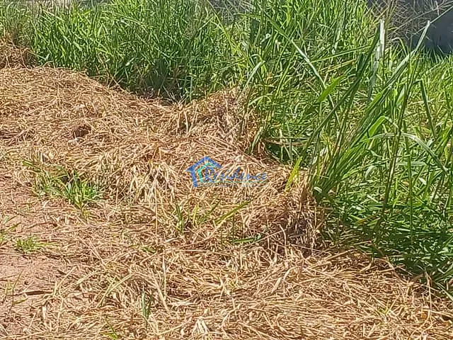 Terreno com 166m², à venda, no bairro Parque Barnabé em Indaiatuba