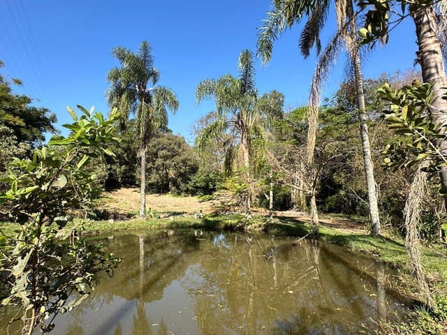 Terreno com 6000m², à venda, no bairro Godoy em Extrema