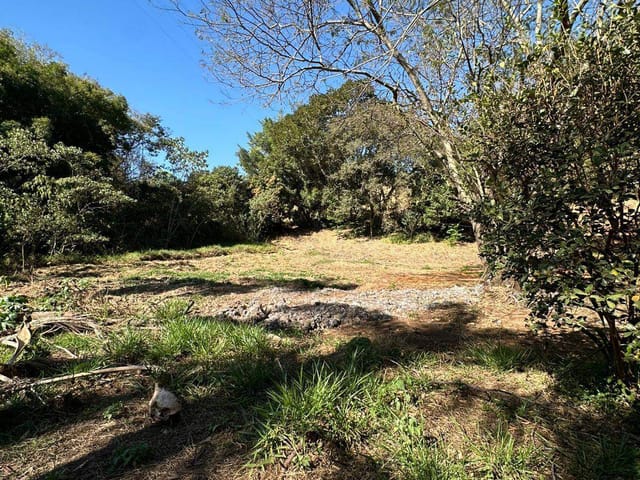 Terreno com 6000m², à venda, no bairro Godoy em Extrema