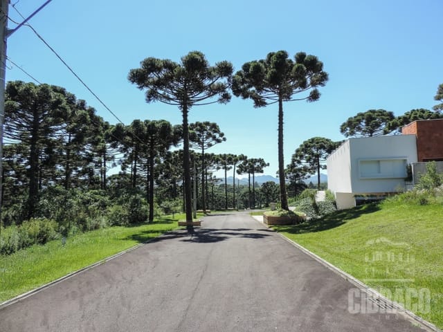 Terreno com 1001m², à venda, no bairro Vila Fuck em Piraquara