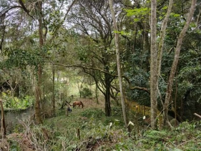 Terreno com 2700m², à venda, no bairro Chácaras São Luís em Santana de Parnaíba