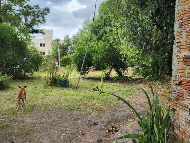 Terreno com 1316m², à venda, no bairro Centro em Pelotas