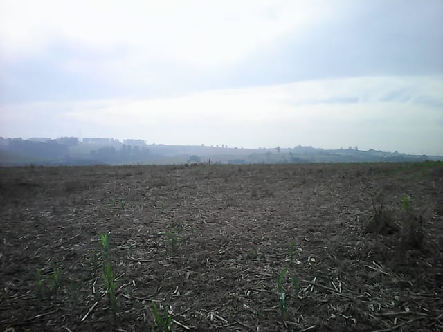 Terreno com 145979m², à venda, no bairro Cruzeiro do Sul em Sumaré