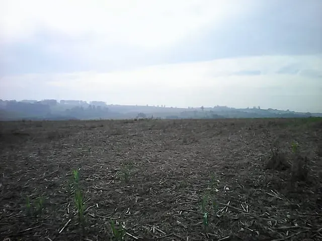 Terreno com 145979m², à venda, no bairro Cruzeiro do Sul em Sumaré
