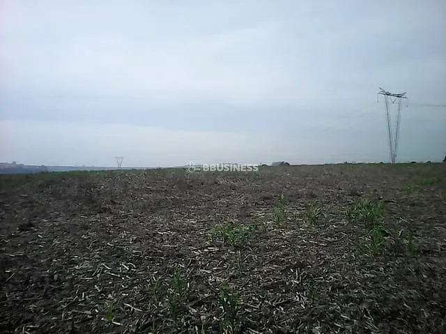 Terreno com 145979m², à venda, no bairro Cruzeiro do Sul em Sumaré