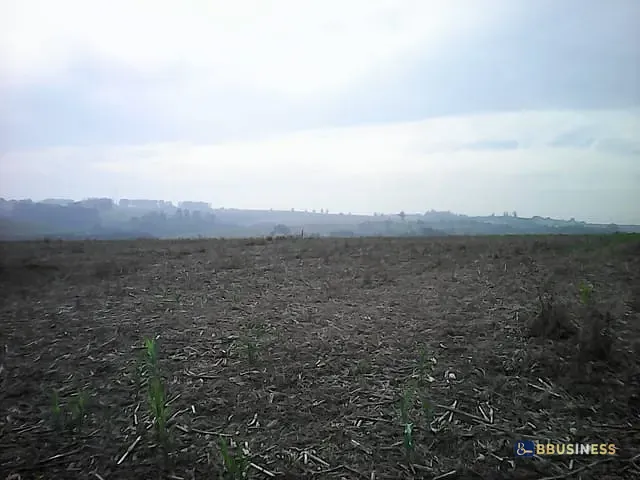 Terreno com 145979m², à venda, no bairro Cruzeiro do Sul em Sumaré