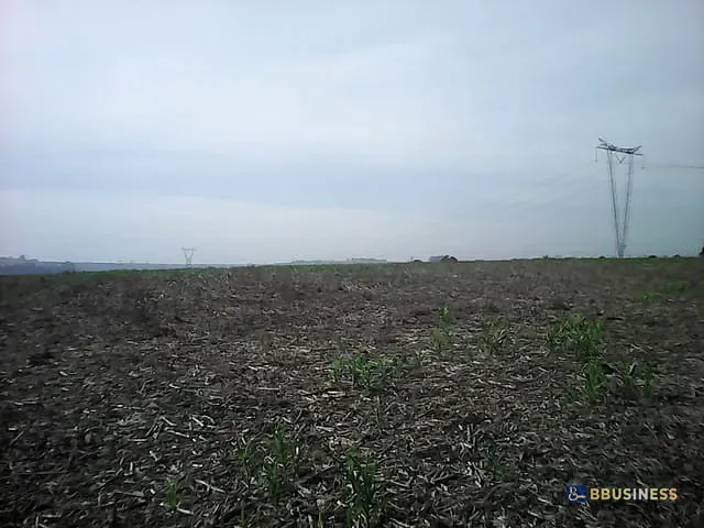 Terreno com 145979m², à venda, no bairro Cruzeiro do Sul em Sumaré