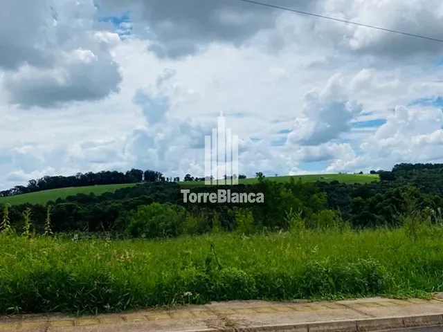 Terreno com 916m², à venda, no bairro Contorno em Ponta Grossa