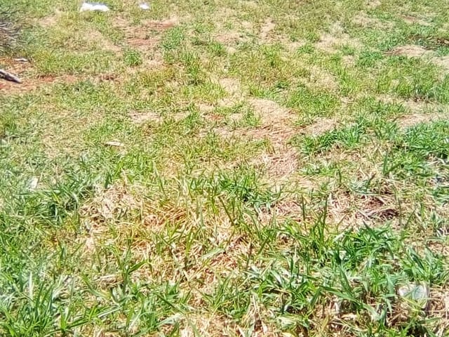 Terreno com 424m², à venda, no bairro São Gonçalo em Taubaté