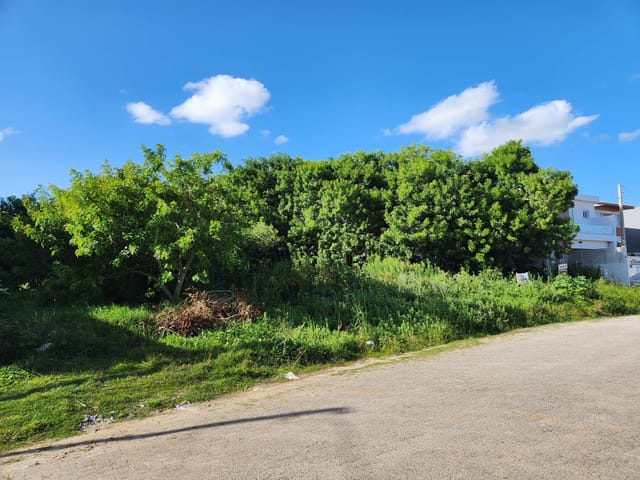Terreno com 6860m², à venda, no bairro Areal em Pelotas