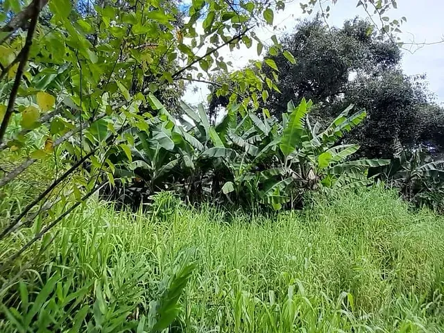 Terreno com 780m², à venda, no bairro Jardim Esperança em Jacareí