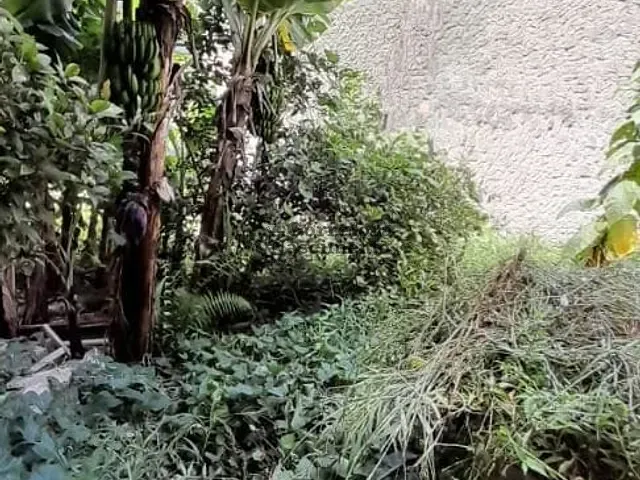 Terreno com 780m², à venda, no bairro Jardim Esperança em Jacareí