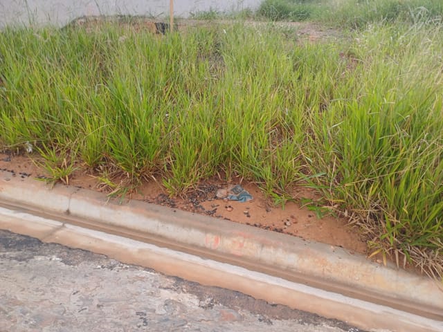 Foto do Terreno - Terreno residencial para venda em Residencial Tellini, 252m² | Lares e Andares Imóveis