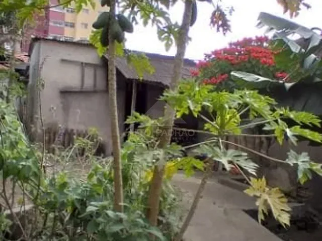 Terreno com 500m², à venda, no bairro Vila Nossa Senhora das Vitórias em Mauá