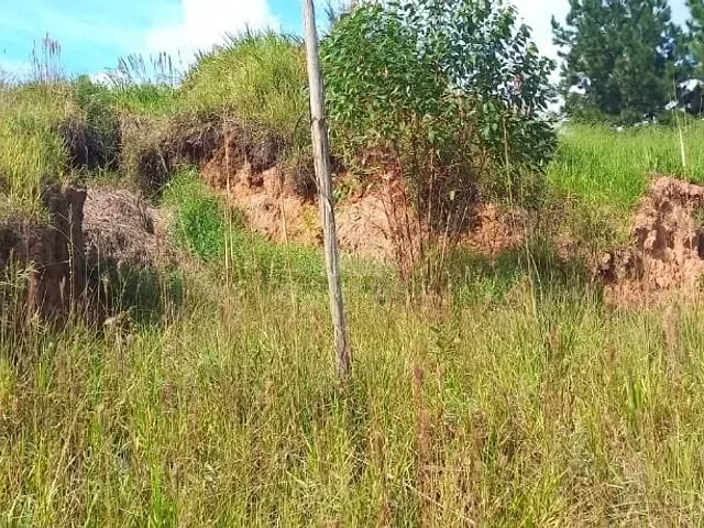 Terreno com 365m², à venda, no bairro Parque Astúrias em Suzano