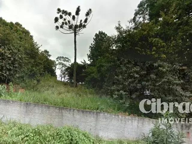 Terreno com 909m², à venda, no bairro Santa Felicidade em Curitiba