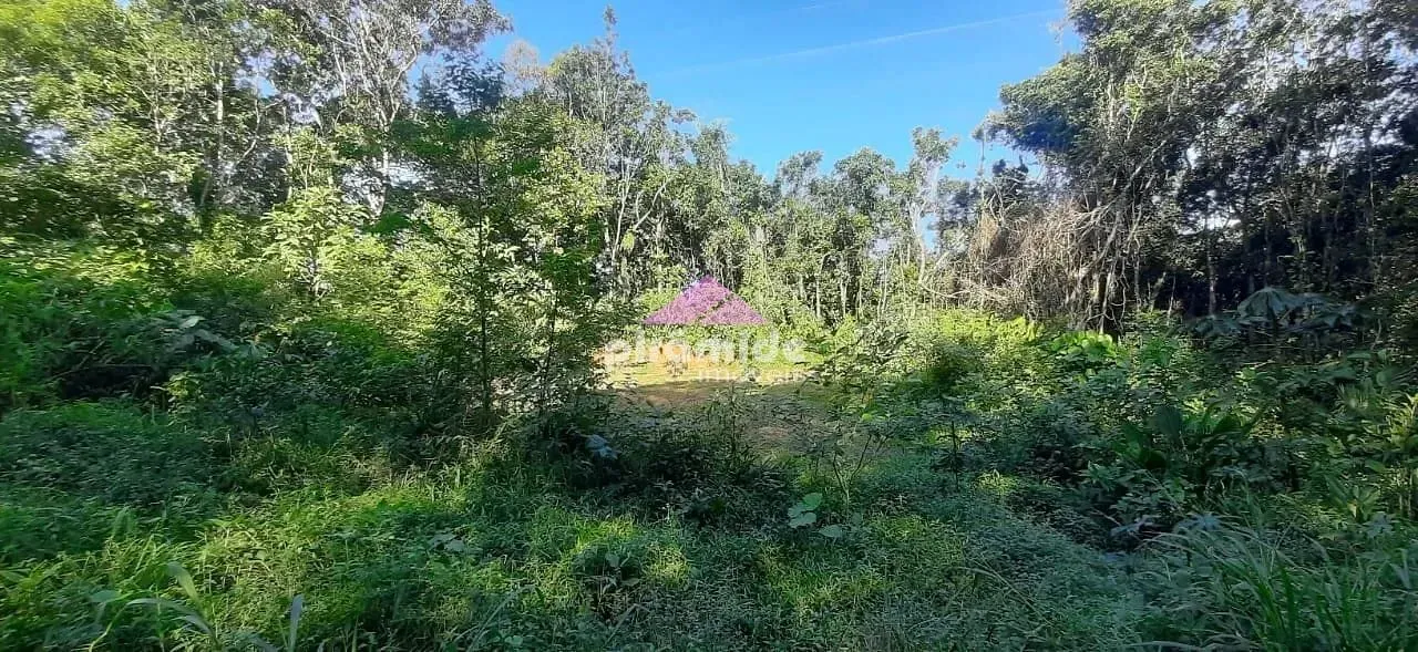 Terreno, 360 m² - Foto 4