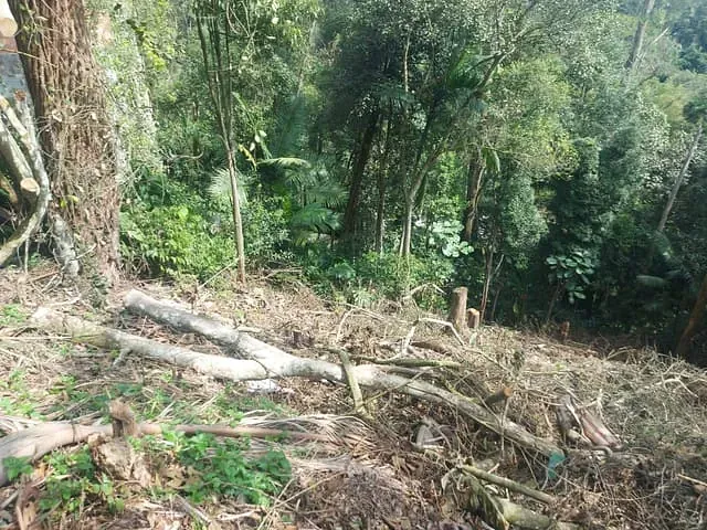 Terreno com 330m², à venda, no bairro Pastoril em Ribeirão Pires