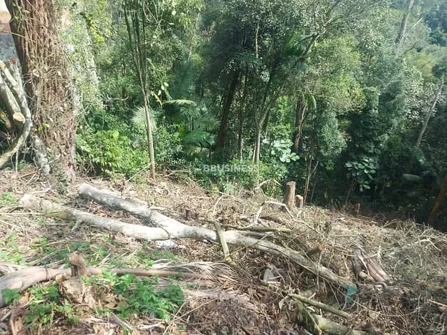 Terreno com 330m², à venda, no bairro Pastoril em Ribeirão Pires
