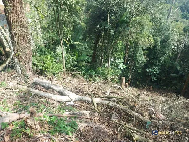 Terreno com 330m², à venda, no bairro Pastoril em Ribeirão Pires