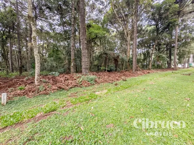 Terreno com 3003m², à venda, no bairro Jardim Primavera em Piraquara
