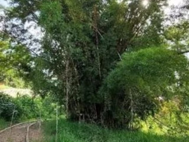 Terreno com 200m², à venda, no bairro Parque Alexandre em Cotia