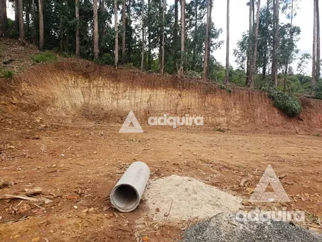 Terreno com 2156m², à venda, no bairro Nova Rússia em Ponta Grossa