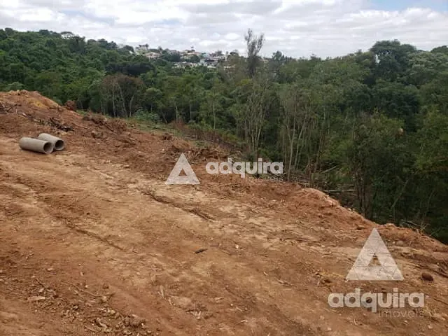 Terreno com 2156m², à venda, no bairro Nova Rússia em Ponta Grossa