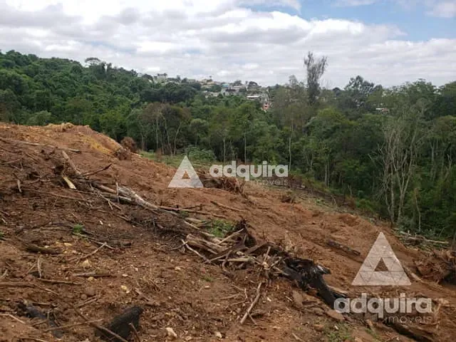 Terreno com 2156m², à venda, no bairro Nova Rússia em Ponta Grossa