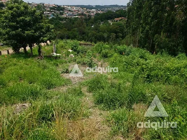 Terreno, 2156 m² - Foto 9