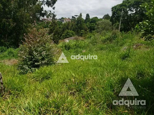 Terreno, 2156 m² - Foto 11