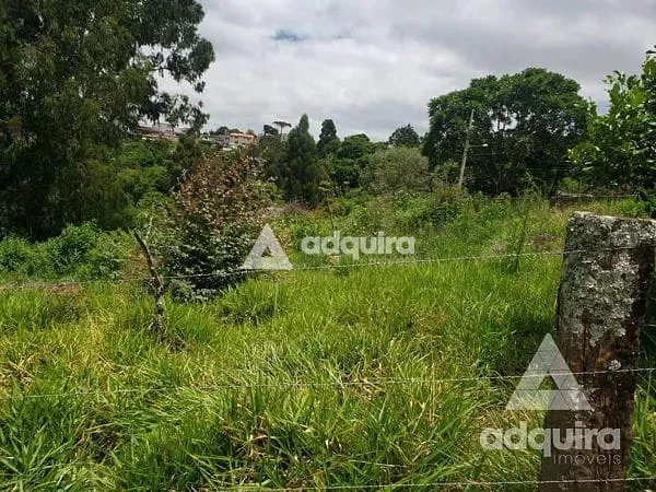 Terreno, 2156 m² - Foto 10