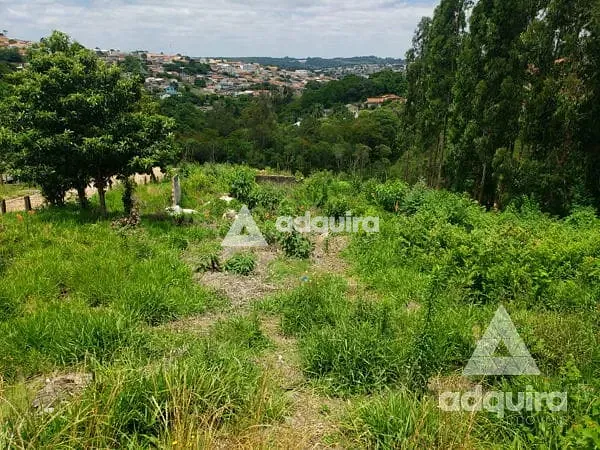 Terreno, 2156 m² - Foto 8