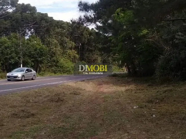Terreno com 81000m², à venda, no bairro Morungava em Gravataí