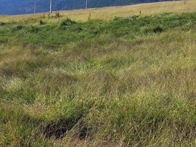 Terreno com 250m², à venda, no bairro Guaraiuva em Vargem