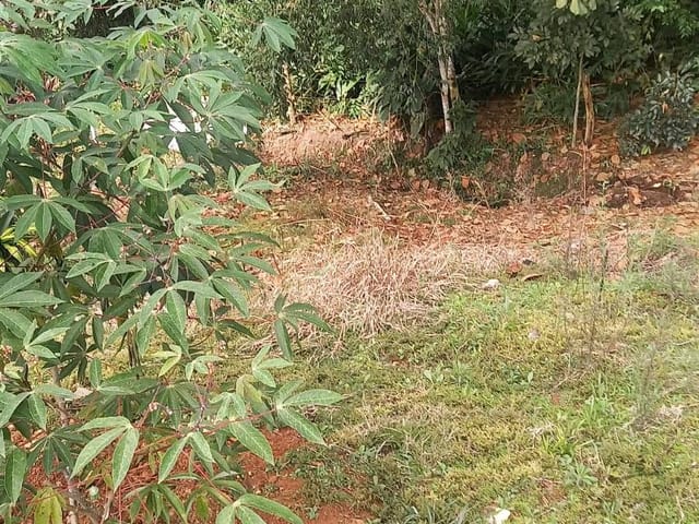 Terreno com 3060m², à venda, no bairro Furnas em Extrema