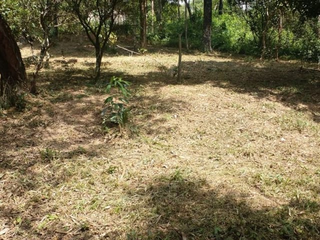 Terreno com 5000m², à venda, no bairro Zona Rural em Araçariguama