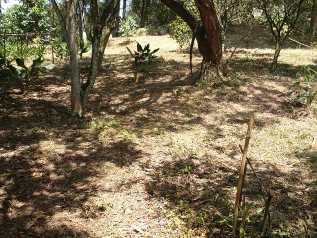 Terreno com 5000m², à venda, no bairro Zona Rural em Araçariguama