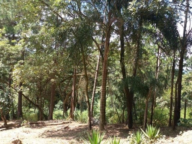 Terreno com 5000m², à venda, no bairro Zona Rural em Araçariguama
