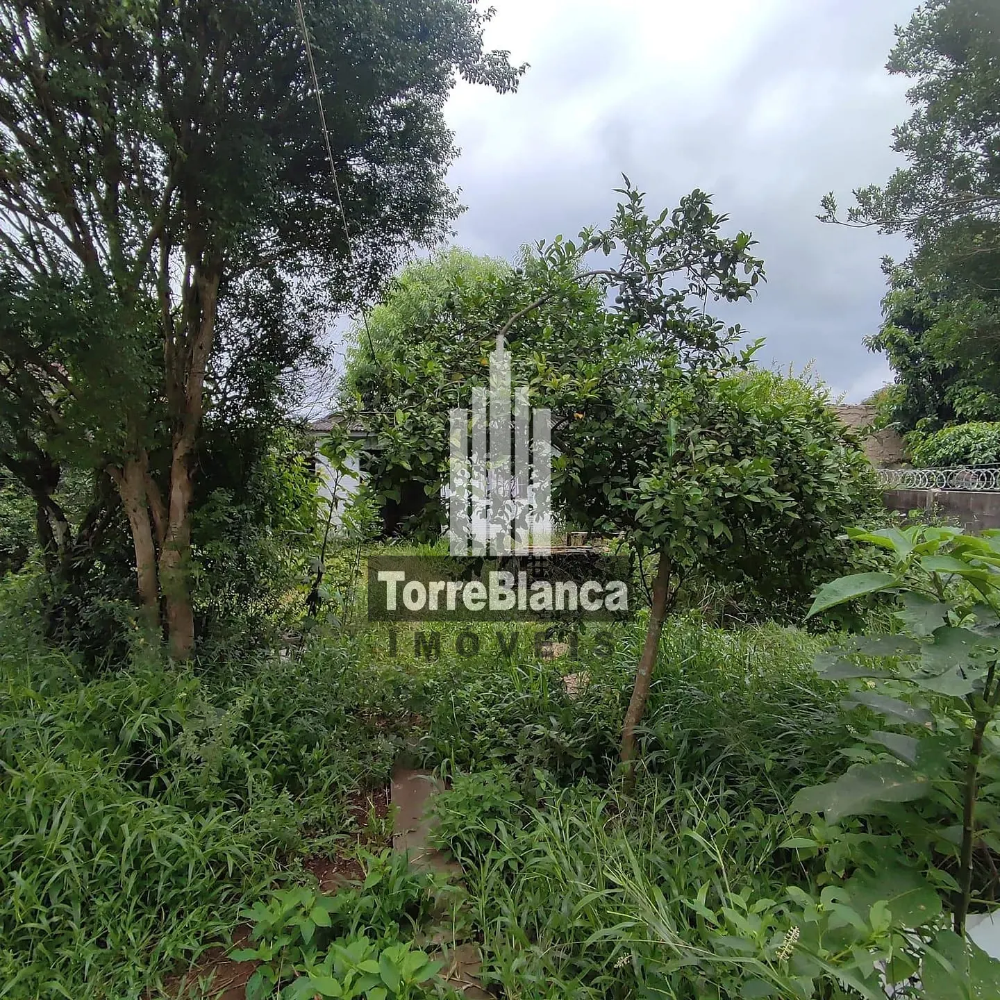 Terreno, 441 m² - Foto 6
