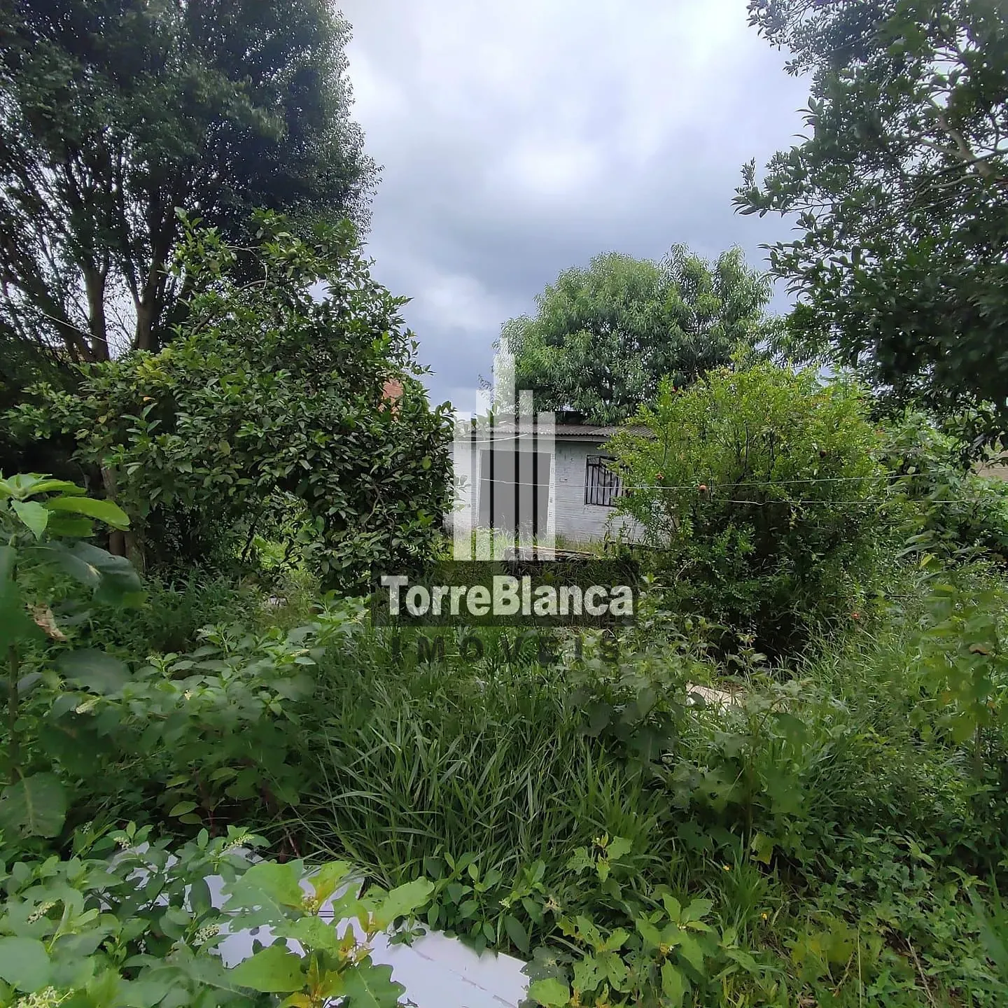 Terreno, 441 m² - Foto 7