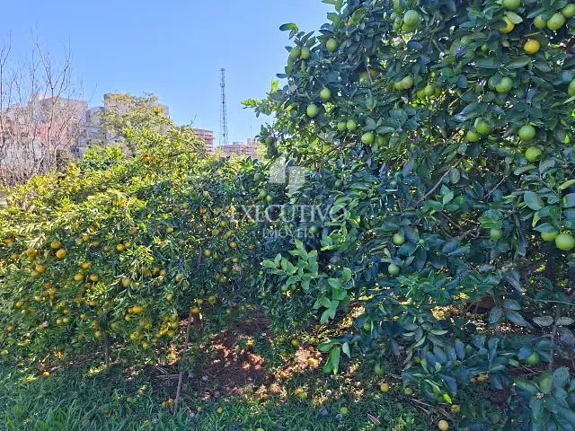 Terreno com 480m², à venda, no bairro Centro em Arroio do Meio