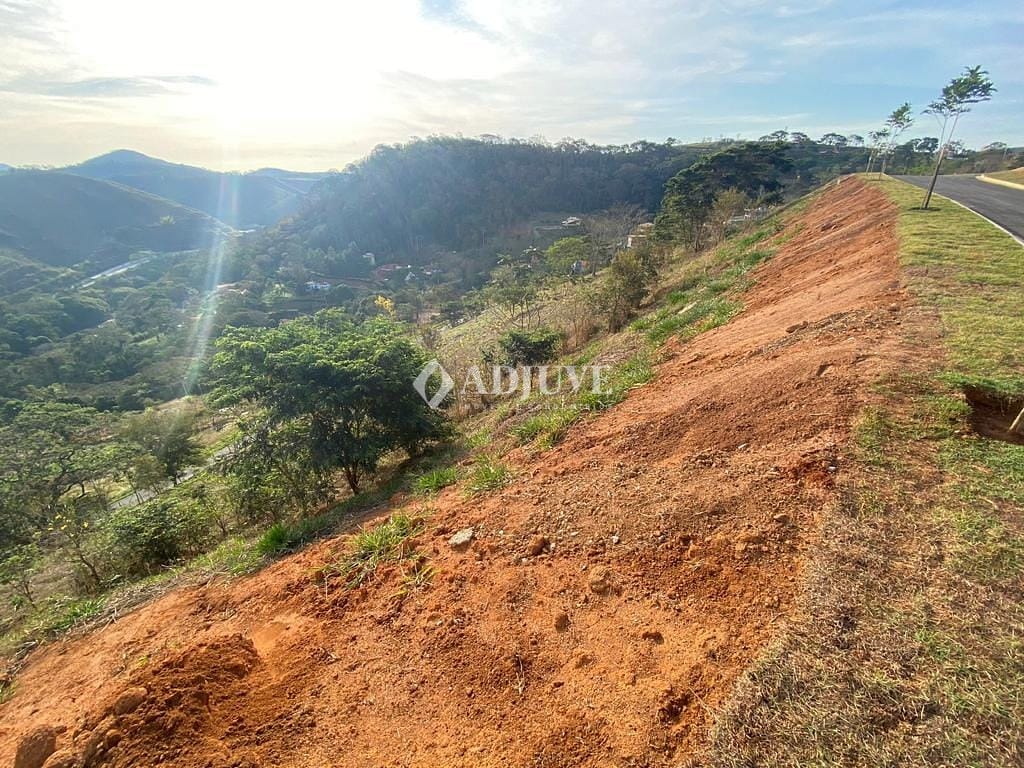 Terreno à venda com 1 quarto, 2459m² - Foto 3